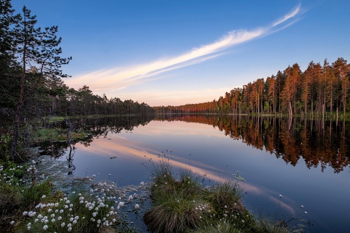 Scenic lakeview in Finland